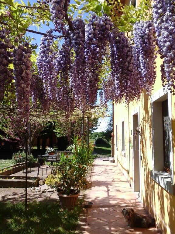 Mulino Vecchio Del Cilone Hotel Castiglion Fiorentino Exterior foto